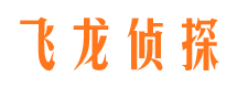 运河侦探公司